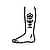 Shin Tattoos Tattoos