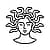 Medusa Tattoos