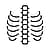 Spine Tattoos Tattoos