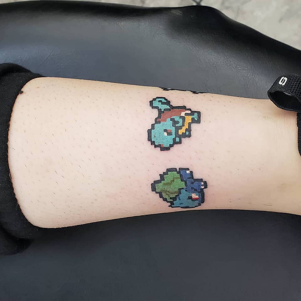 8-Bit Squirtle & Bulbasaur