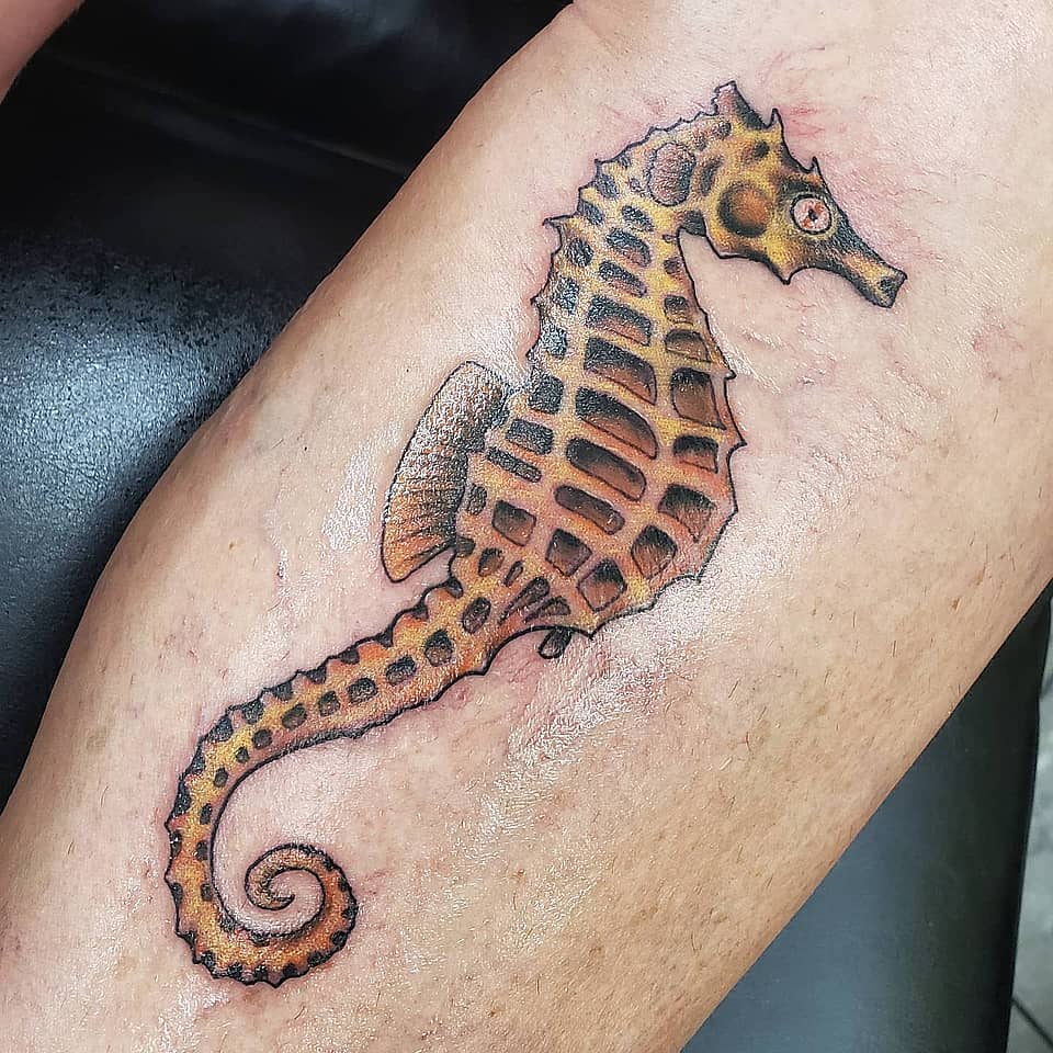 Amber Seahorse Sentinel