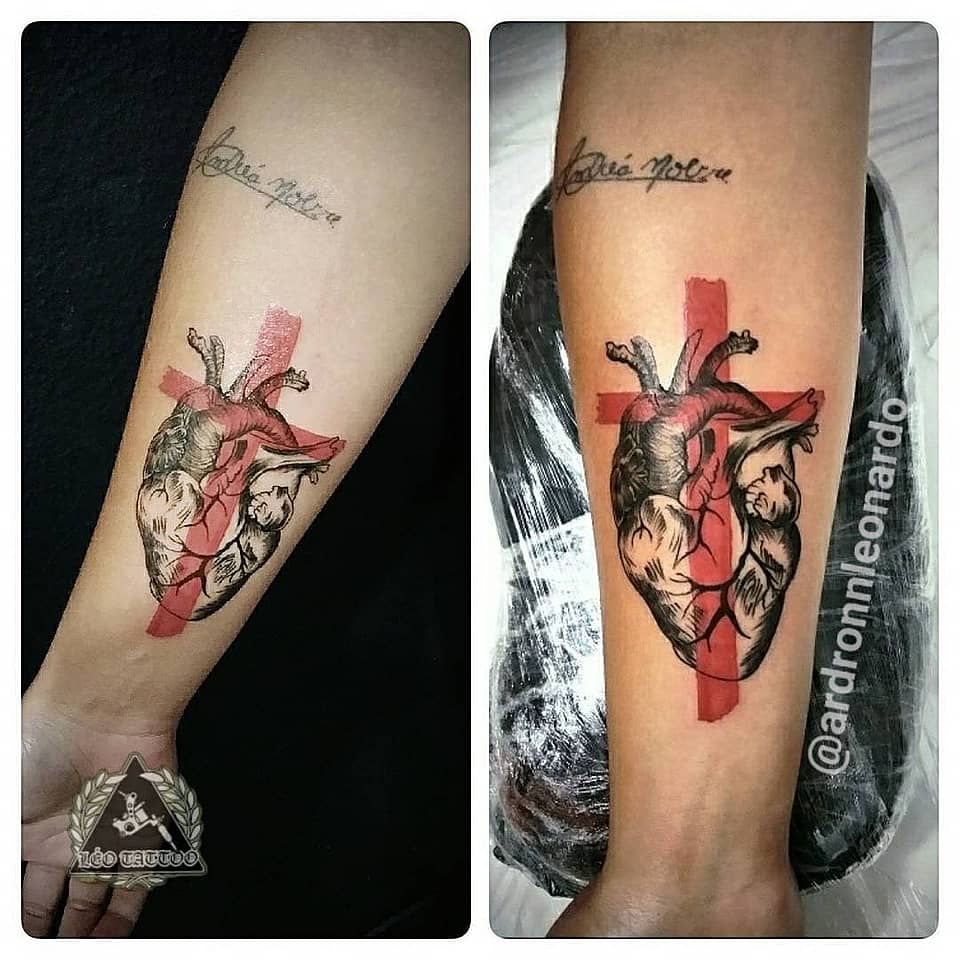 Anatomical Heart with Red Brushstroke Cross