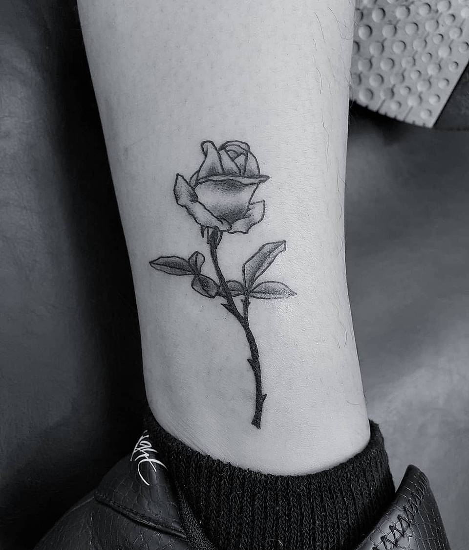 Ankle Rose Stem