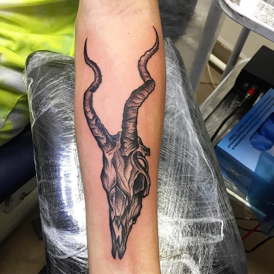 Antelope Skull with Twisted Horns