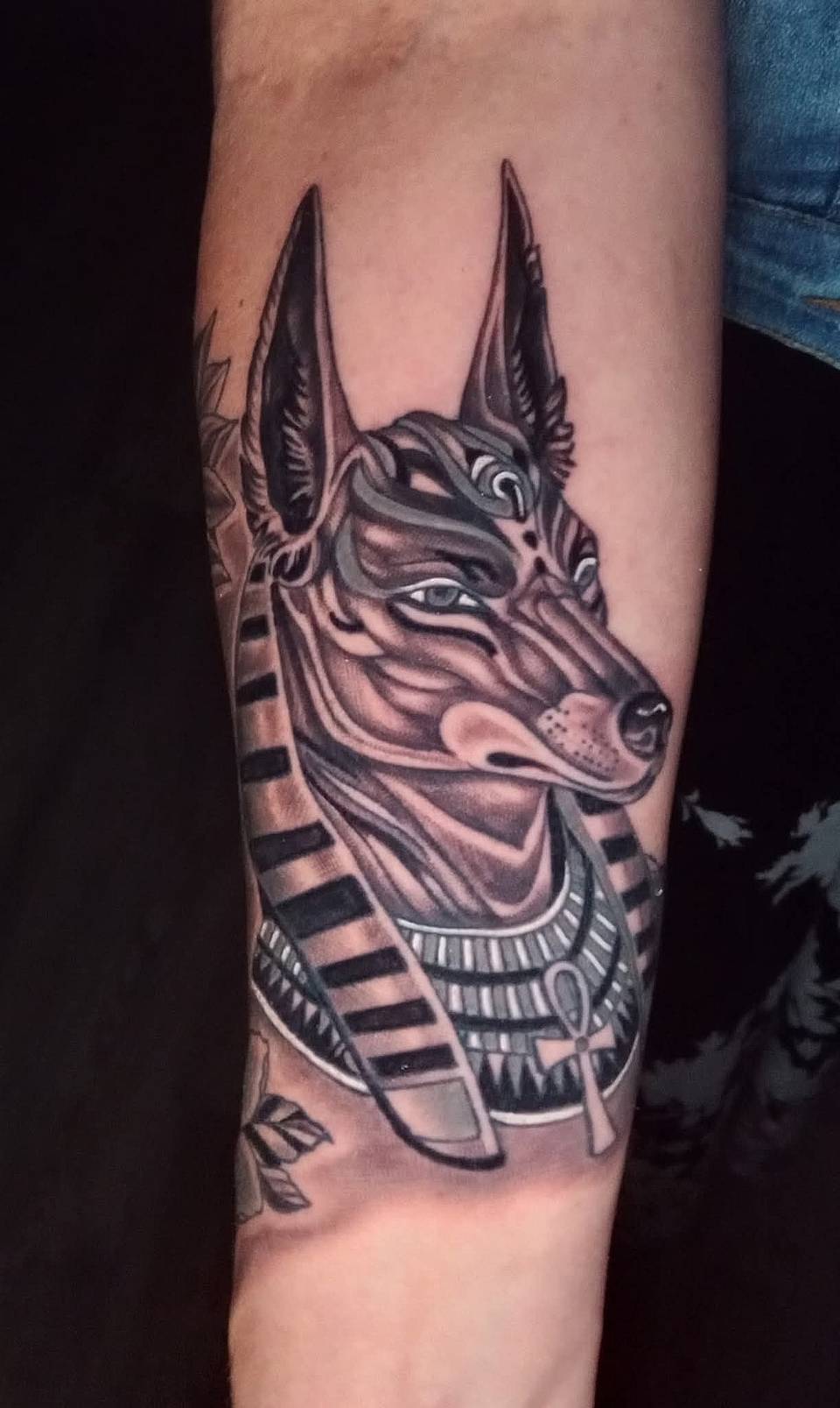 Anubis Guardian