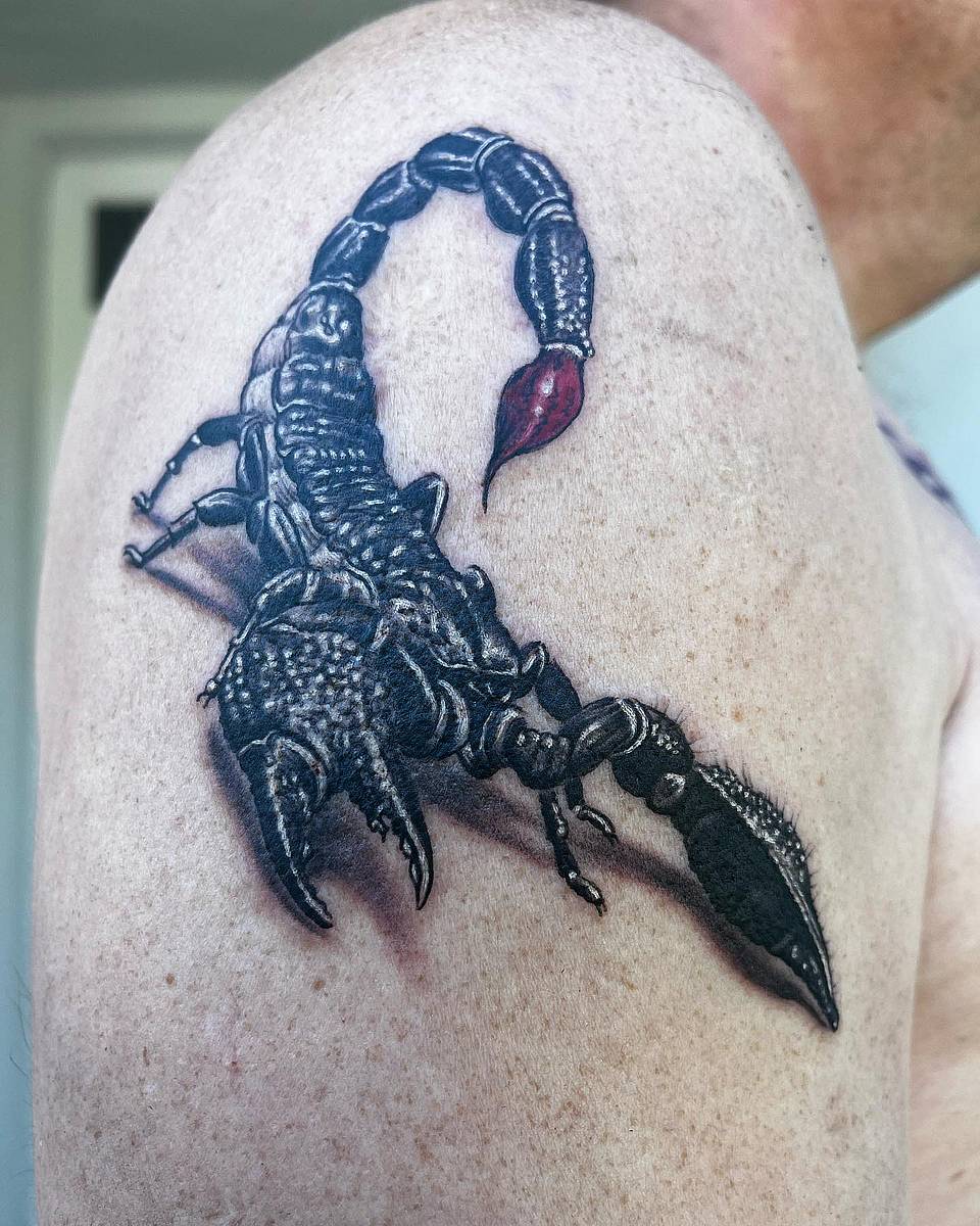 Armored Scorpion
