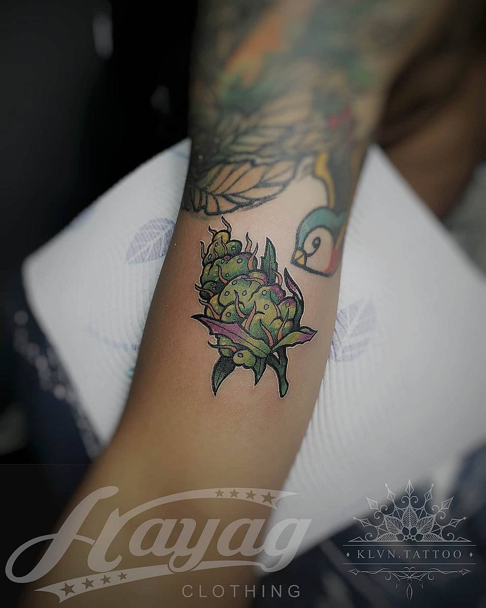 Artichoke Bloom