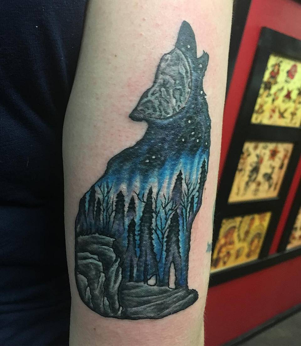 Aurora Wolf Silhouette