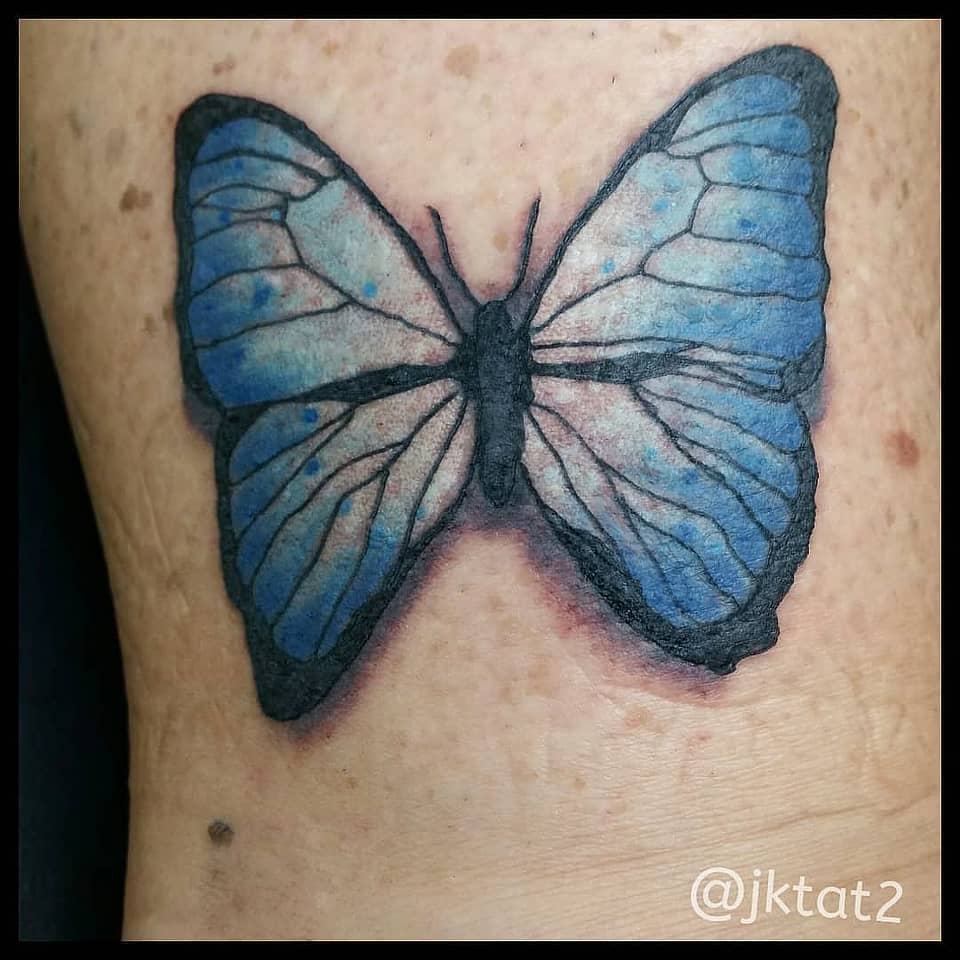 Azure Wings Butterfly