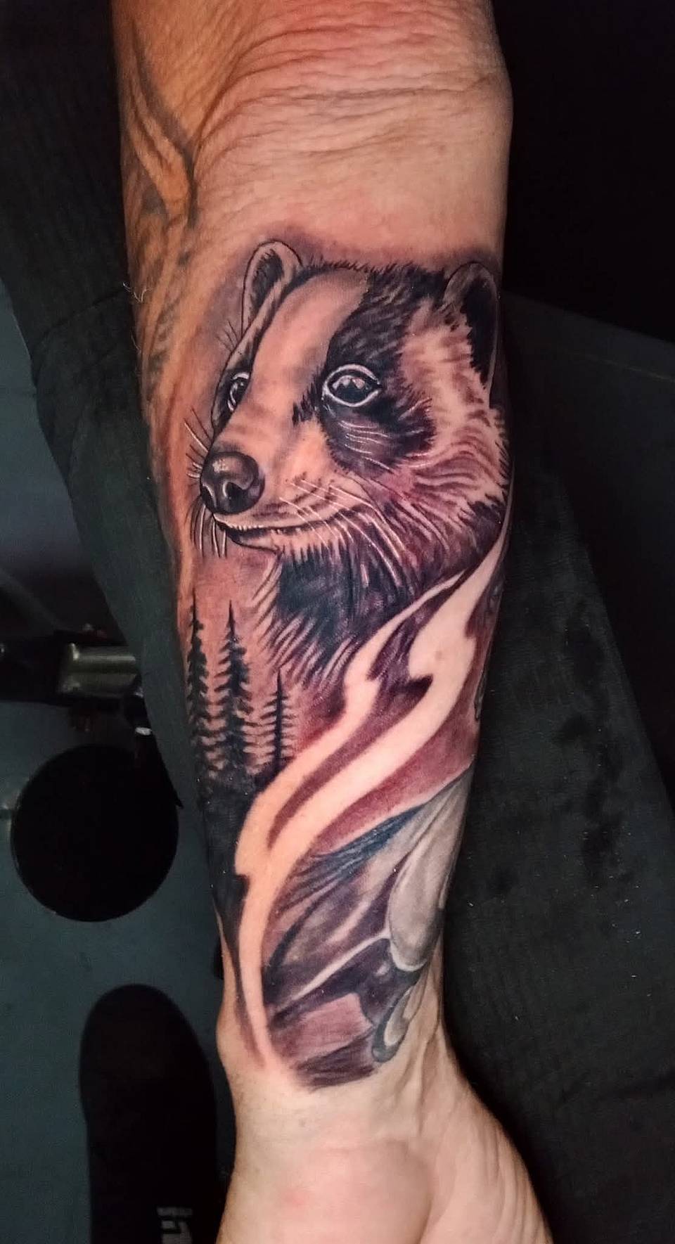 Badger Spirit Portrait