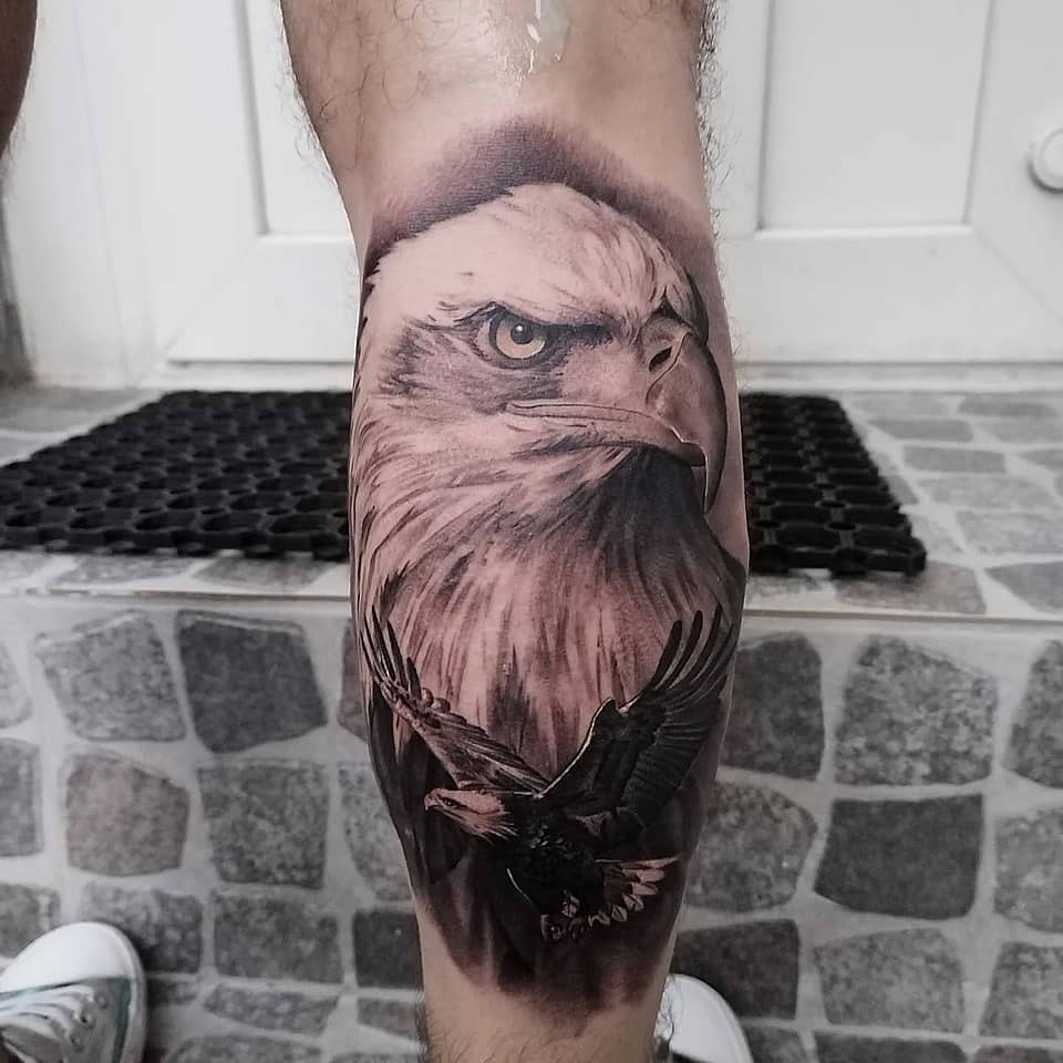 Bald Eagle Realism Portrait