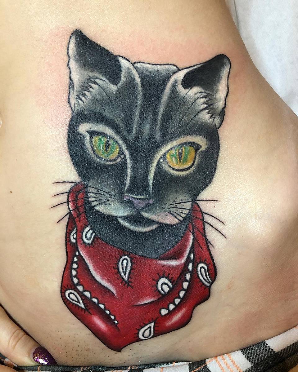 Bandana Cat Portrait