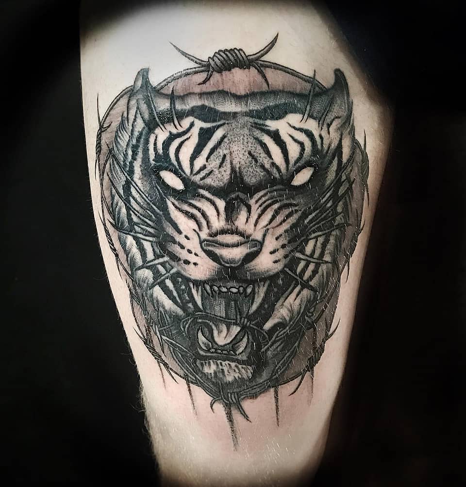 Barbed Crown Tiger