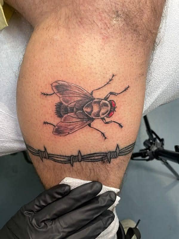 Barbed Wire Fly