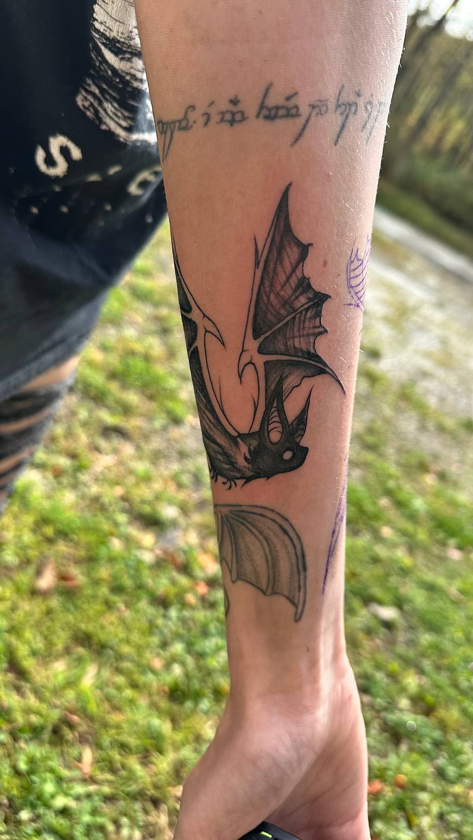 Bat-Dragon Flight