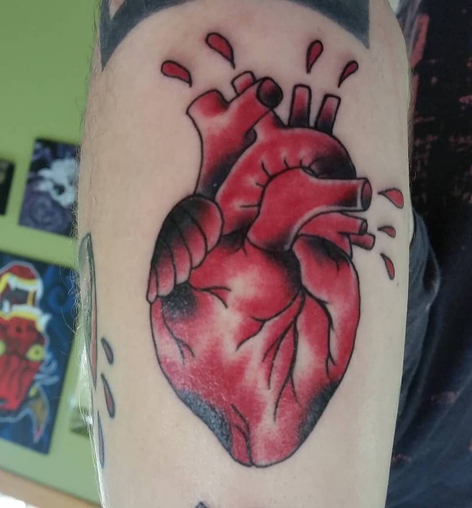 Beating Anatomical Heart