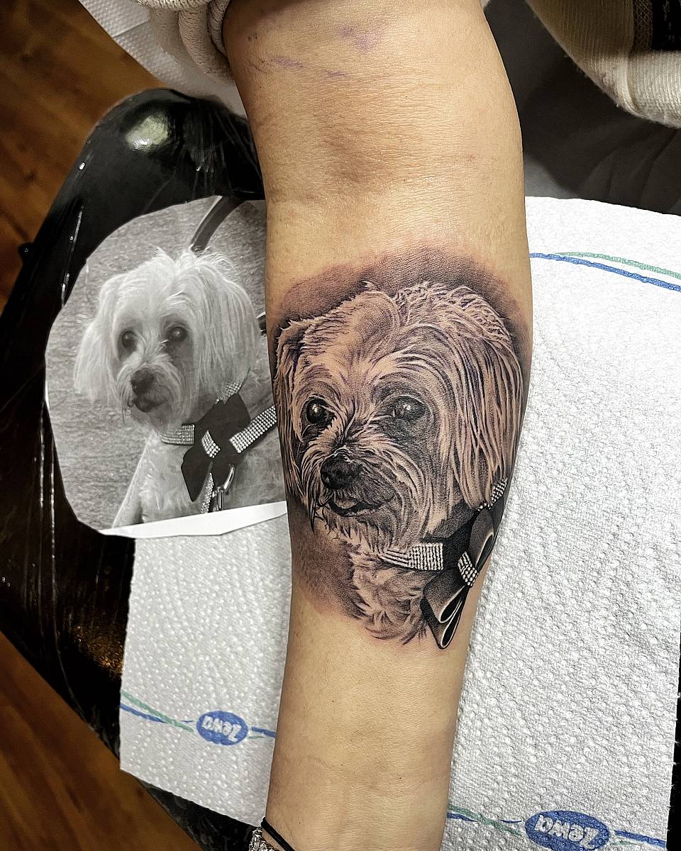 Beloved Pup Portrait