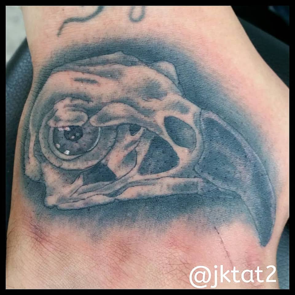 Bird Skull Profile