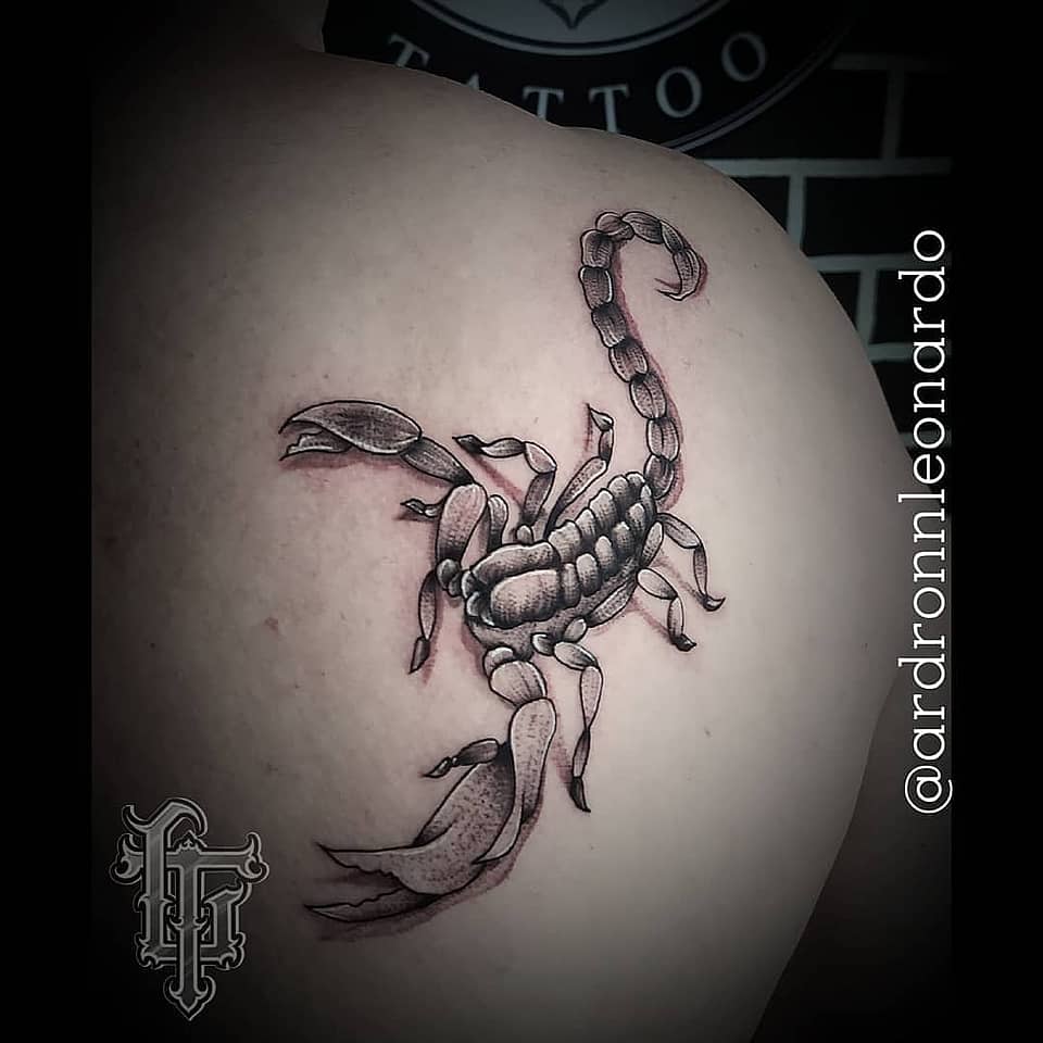 Black-and-Gray Scorpion