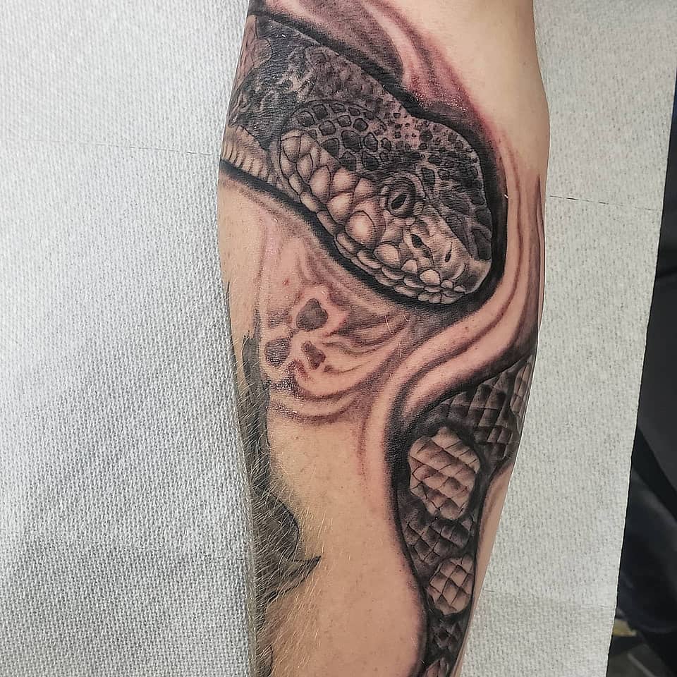 Black and Grey Coiled Serpent