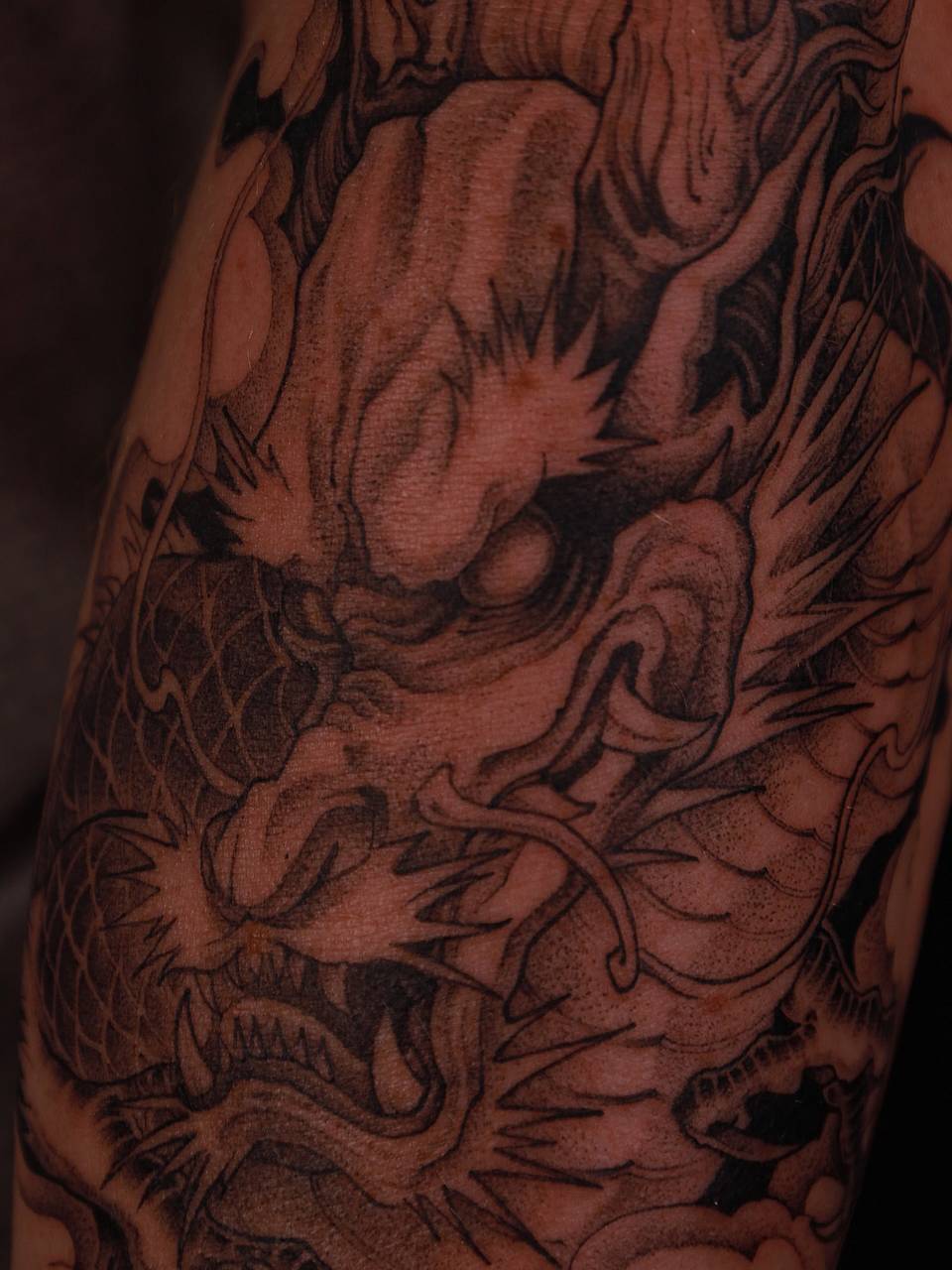 Black-and-Grey Japanese Dragon Head