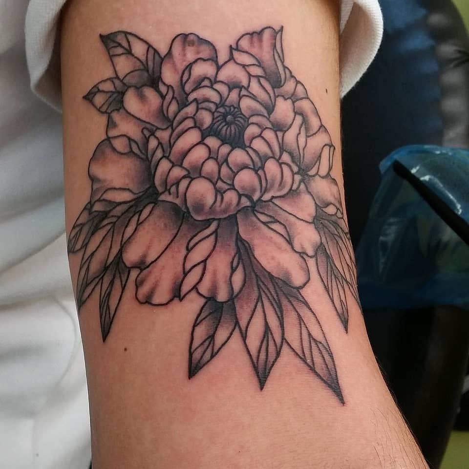 Black and Grey Peony Bloom