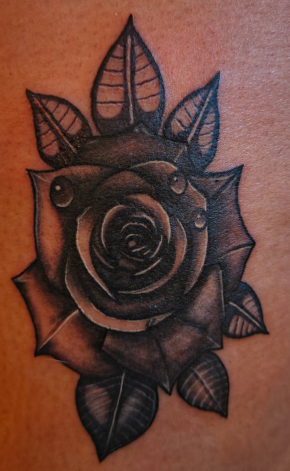 Black-and-Grey Rose with Dewdrops