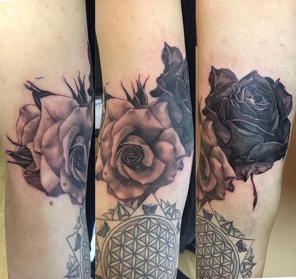Black & Grey Dual Roses
