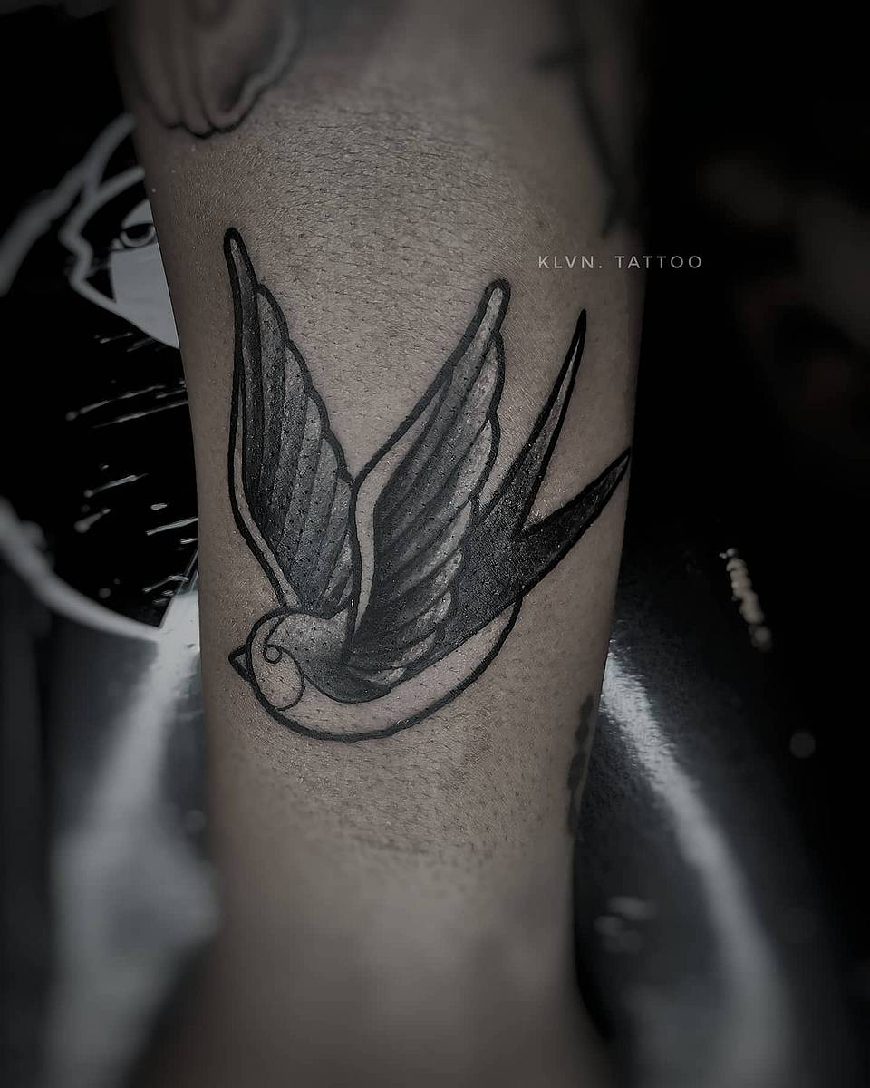 Black & Grey Swallow