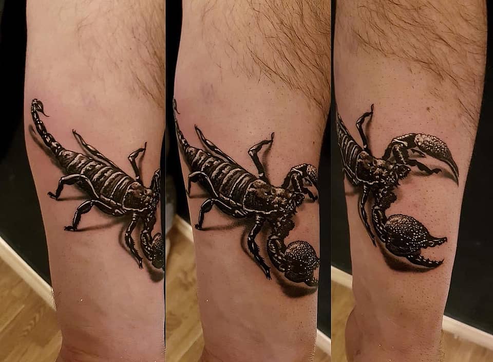 Black Realistic Scorpion