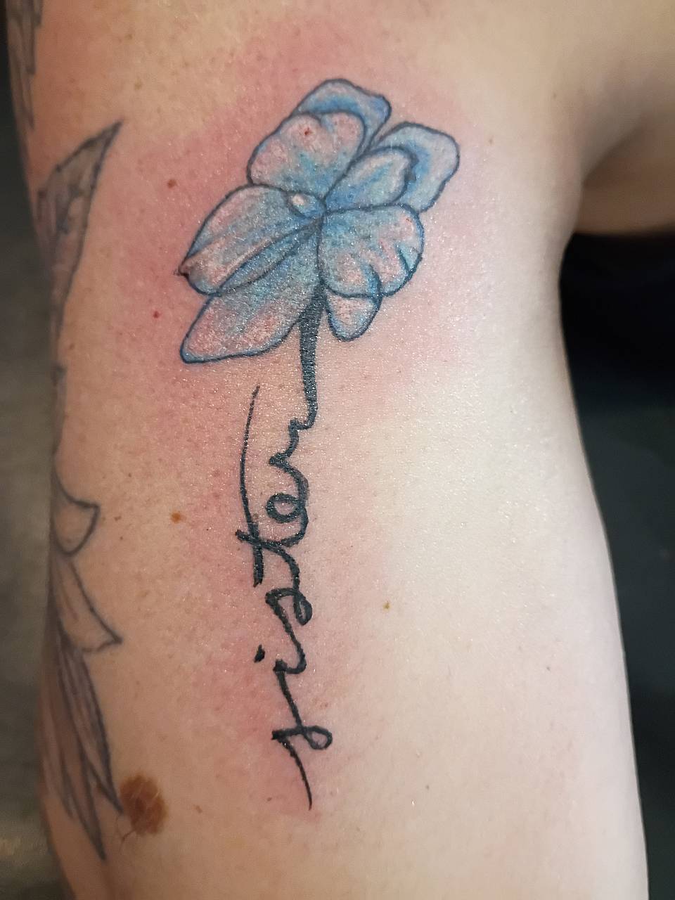 Blue Blossom Script