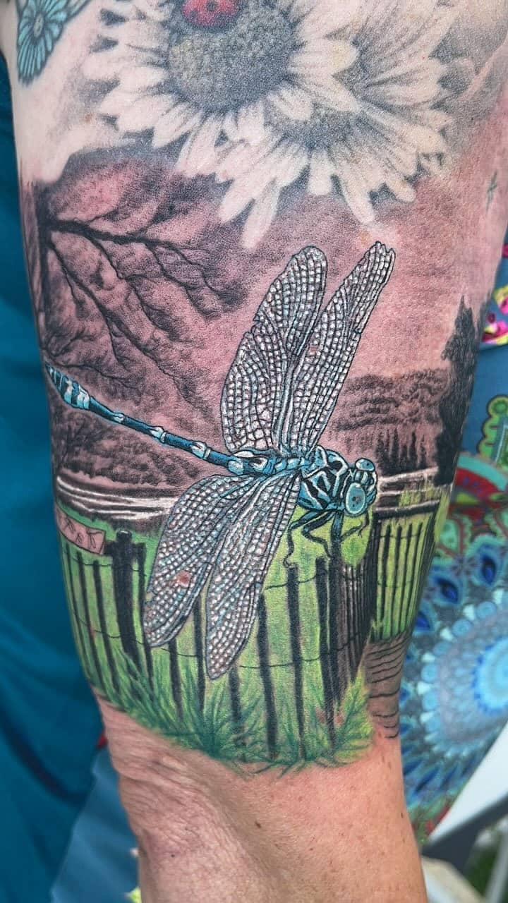 Blue Dragonfly Over Marsh with Sunflower