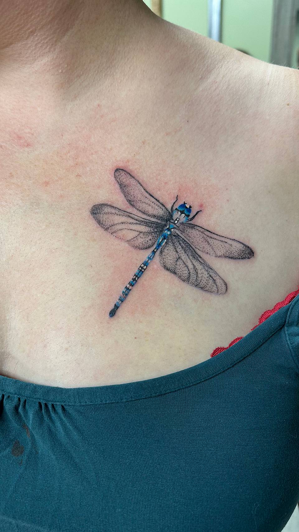 Blue Dragonfly
