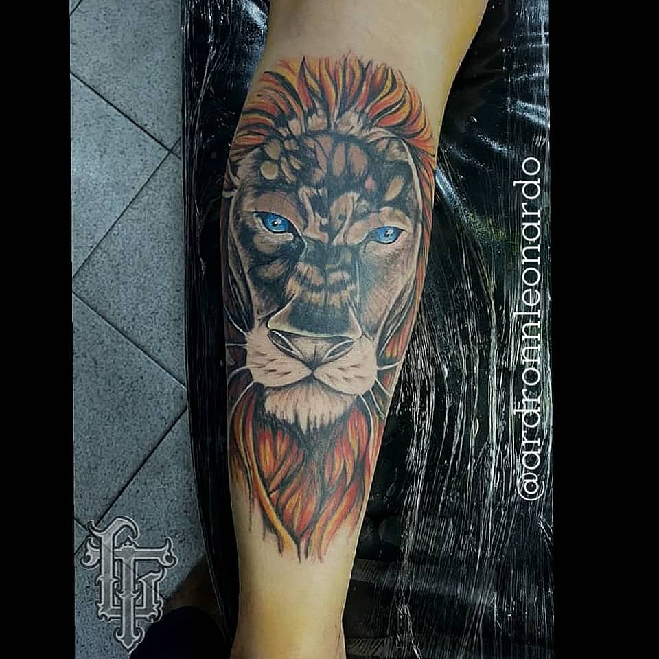 Blue-Eyed Lion Portrait