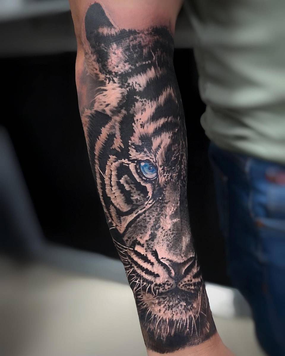 Blue-Eyed Tiger Gaze