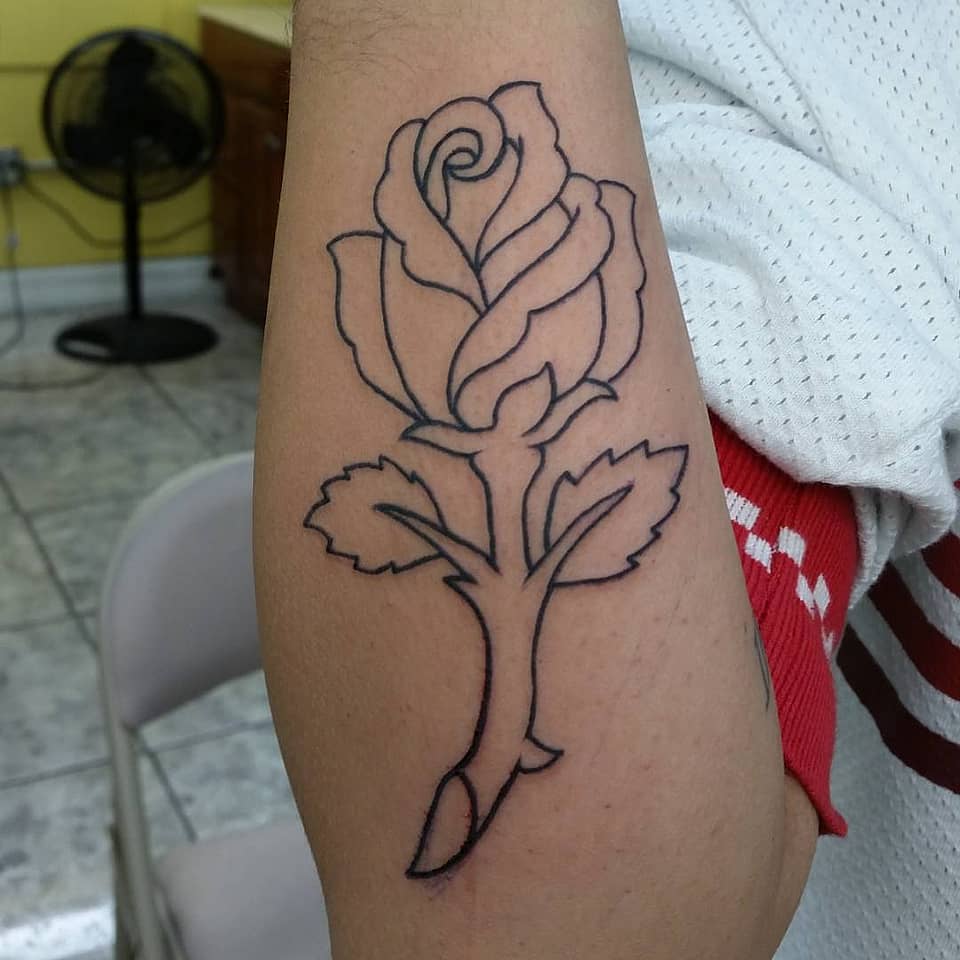 Bold Line Rose