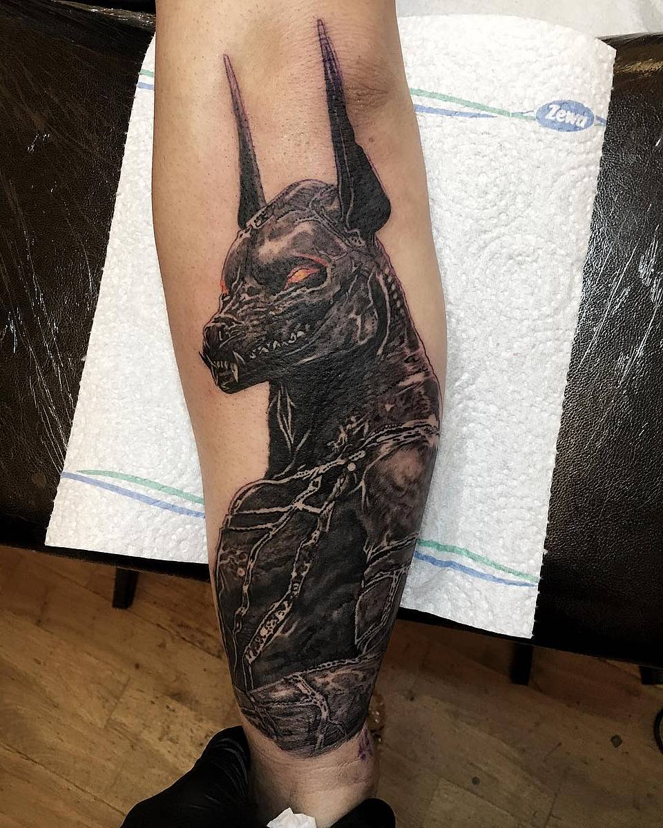 Bound Anubis