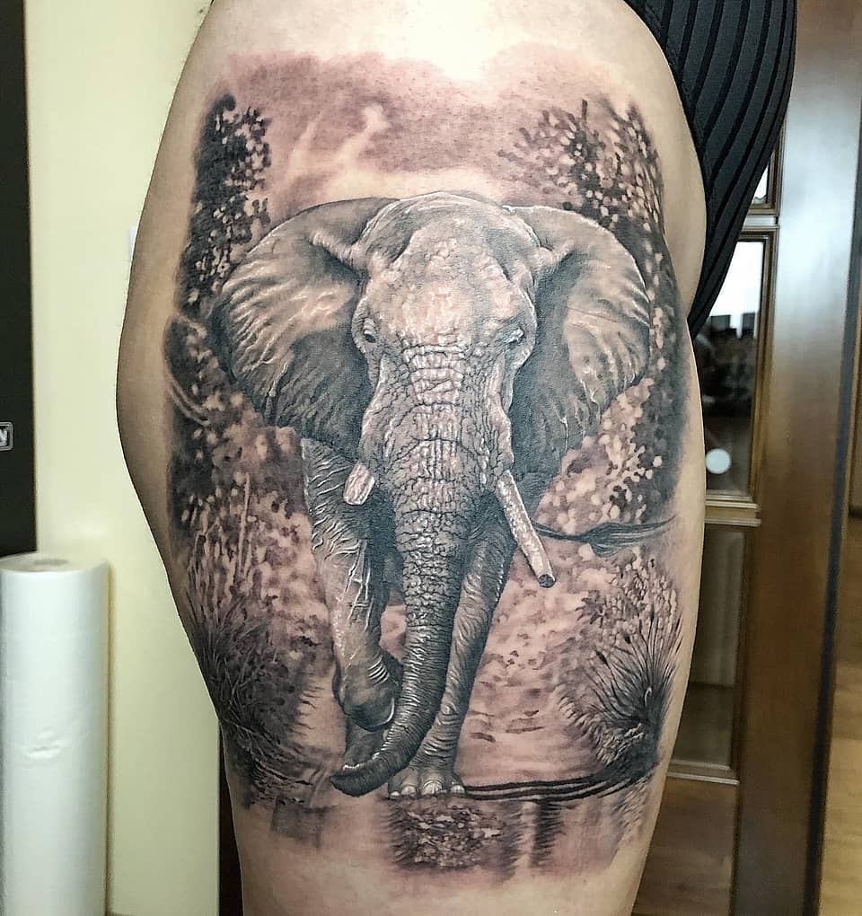 Charging Elephant