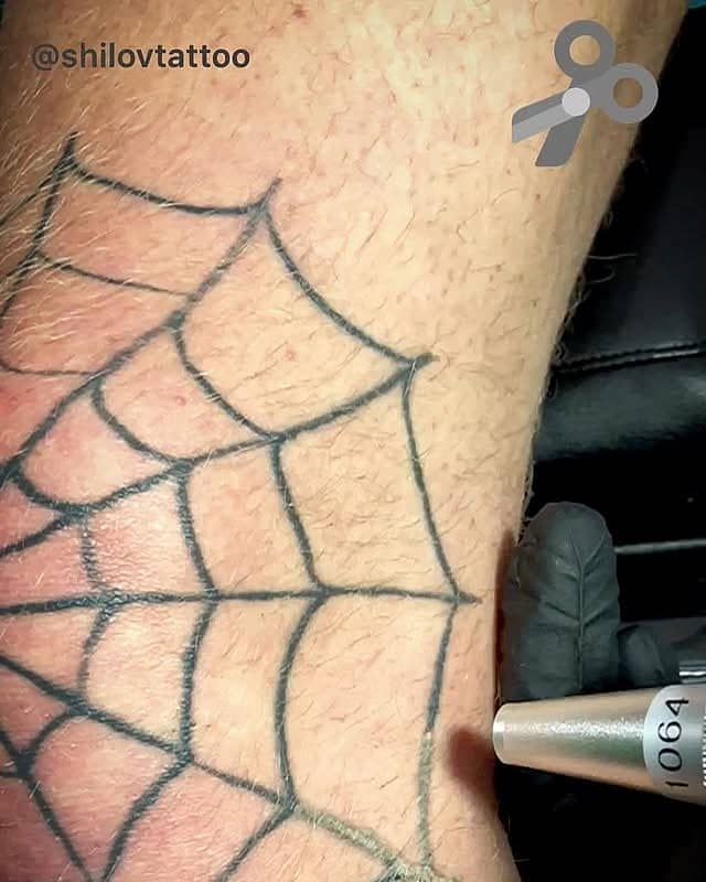 Classic Black Spiderweb