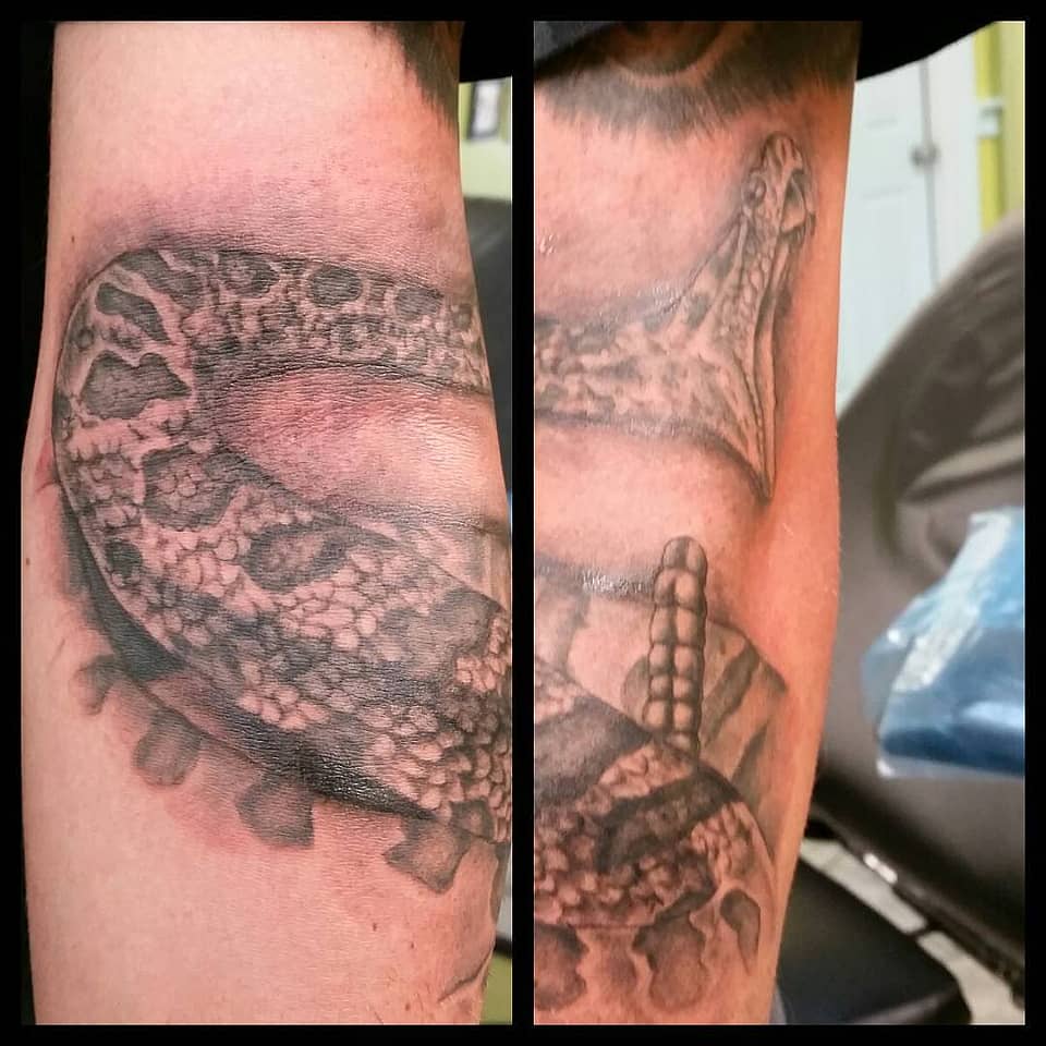 Coiled Rattlesnake Vigil
