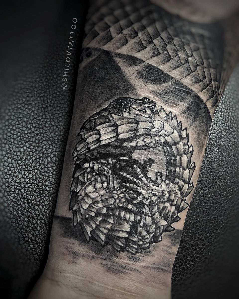 Coiled Scale Guardian