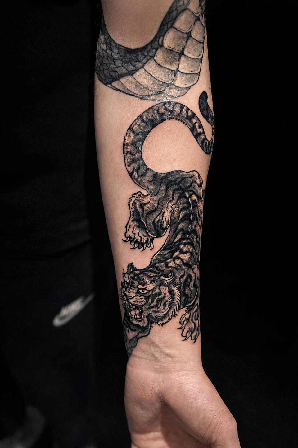 Coiled Tiger and Snake
