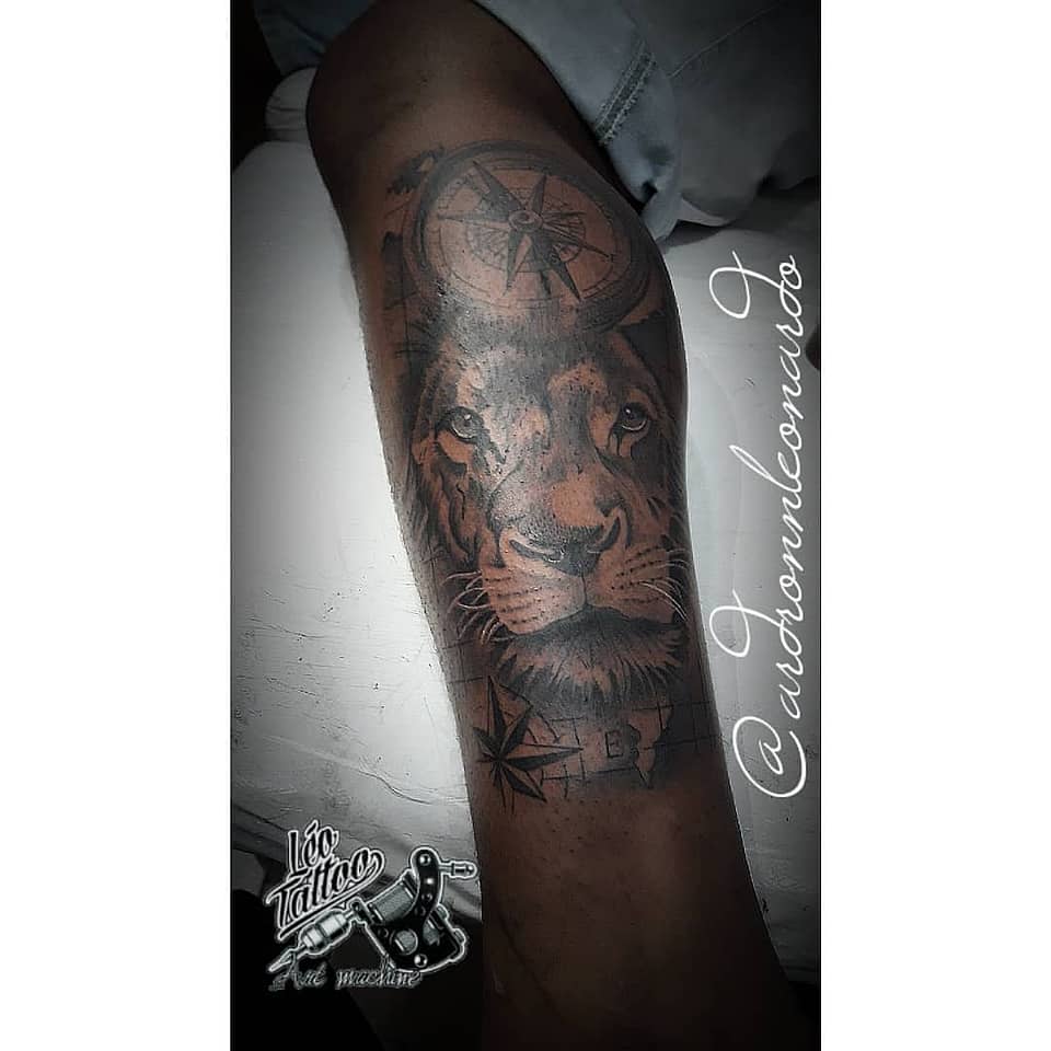 Compass Lion Portrait