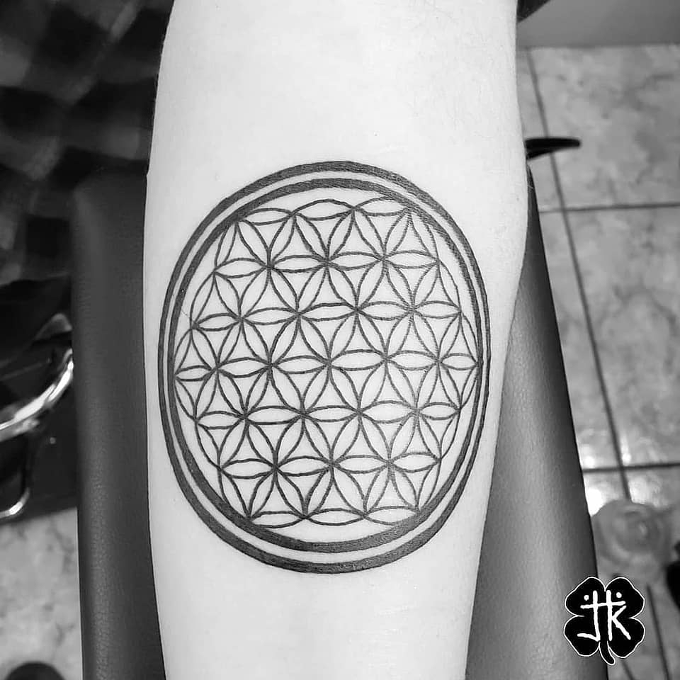 Concentric Flower of Life