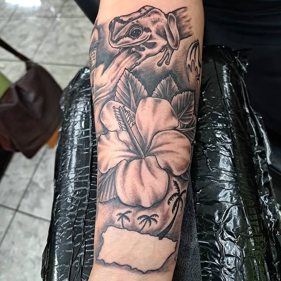 Coquí and Hibiscus Island Tribute