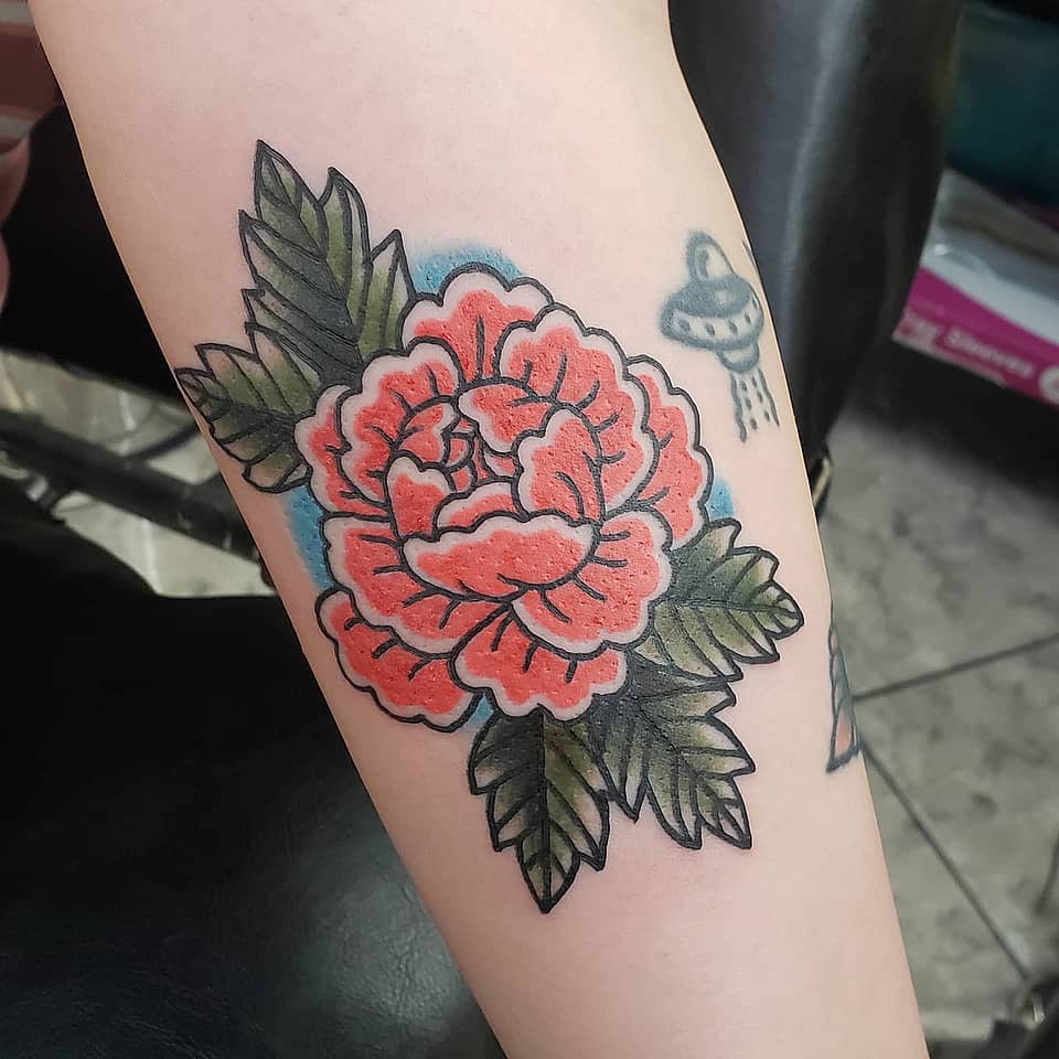 Cosmic Peony Bloom
