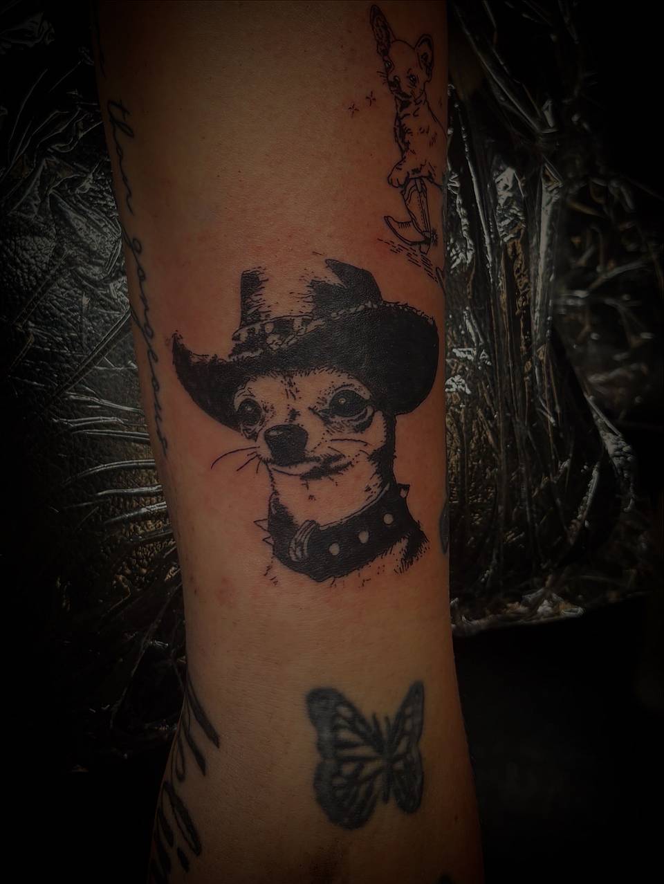 Cowboy Chihuahua Portrait
