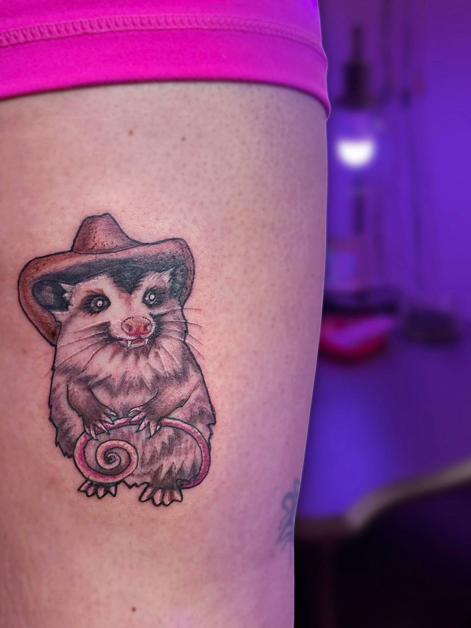 Cowboy Possum