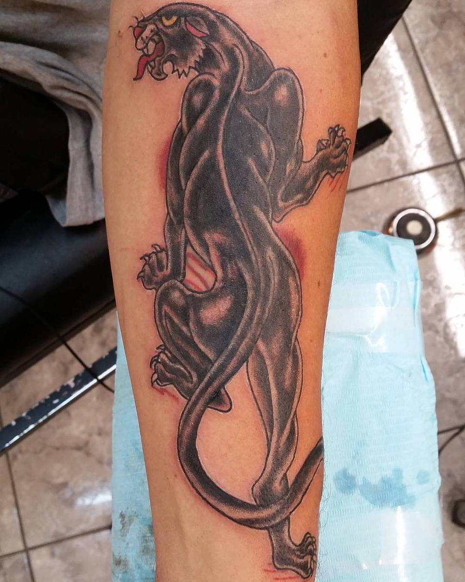 Crawling Black Panther