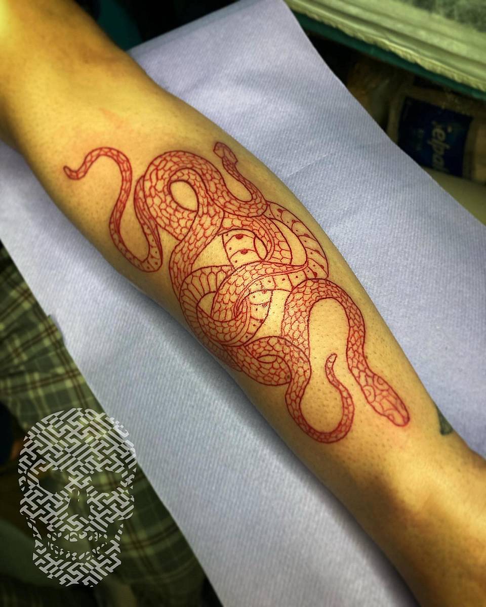 Crimson Coil Serpent
